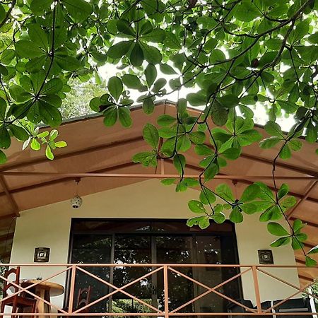 شقة Casa Martina كويتا المظهر الخارجي الصورة