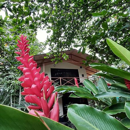 شقة Casa Martina كويتا المظهر الخارجي الصورة